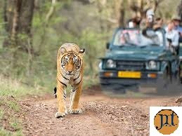 Corbett To  Delhi Drop